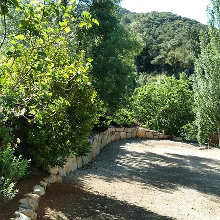 Holiday home Masia El Carcaba - Moli Del Pont. *