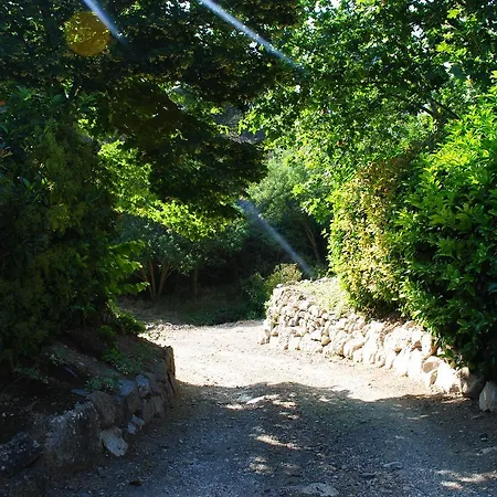 Сasa de vacaciones Masia El Carcabà - Molí Del Pont. *