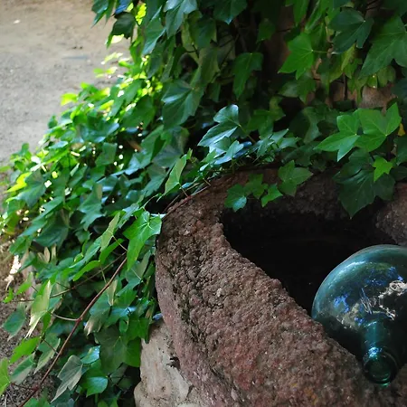 Masia El Carcabà - Molí Del Pont. Сasa de vacaciones